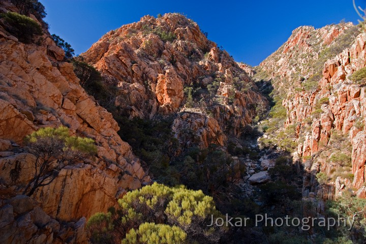 Standley Chasm_20070912_062.jpg